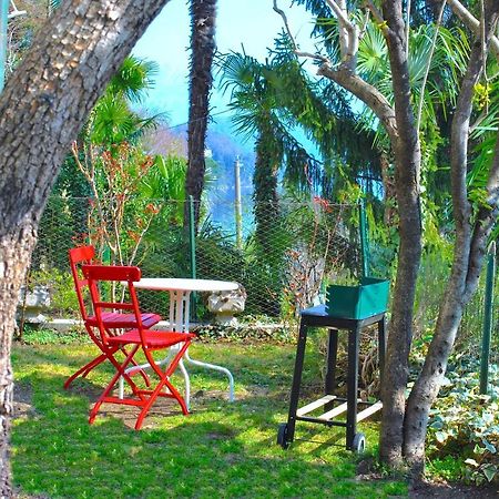 Apartment The Palm With Garden Sala Comacina Dış mekan fotoğraf